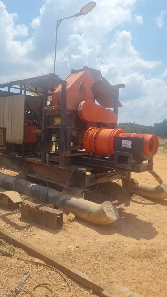 Plant at site Borneo